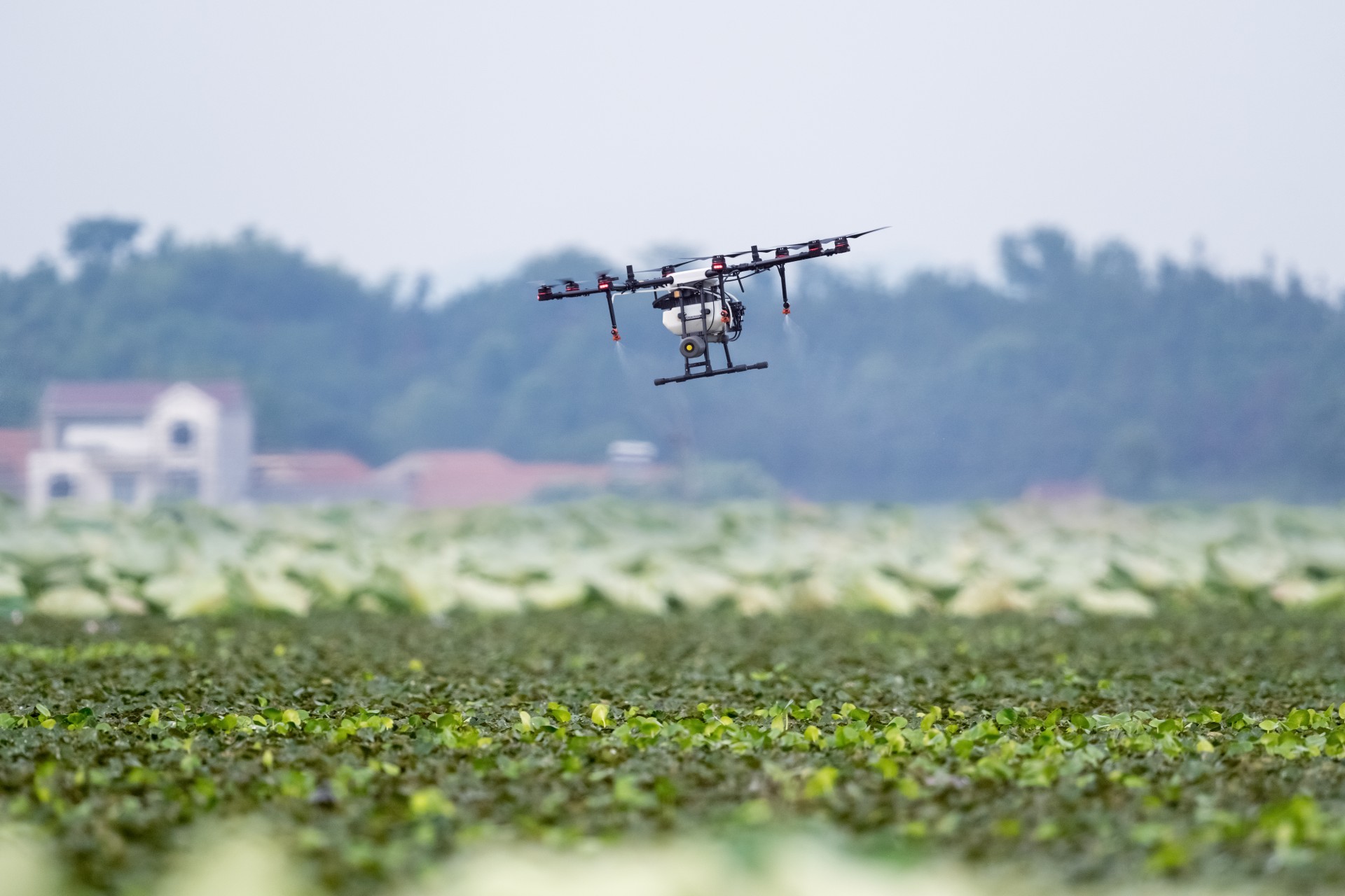 Fumigación agrícola con drones