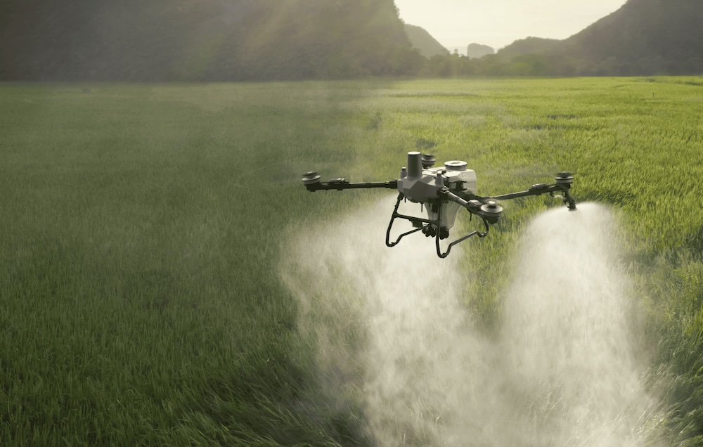 DJI Agras T55 México en demostración agrícola con RMS AgPrecision