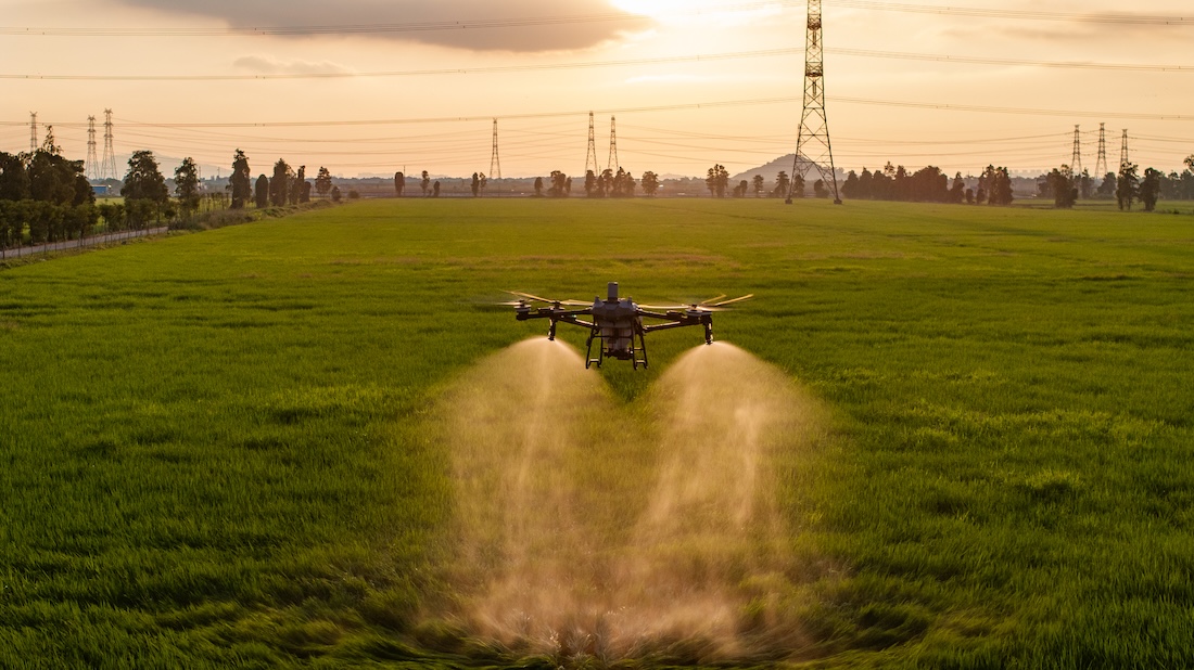 Demostración del DJI Agras T70P con equipo RMS AgPrecision en campo agrícola de México